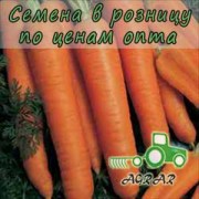 Морковь Анета F1 семена купить