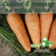 Морковь Болтекс семена купить