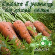 Морковь Карини семена купить