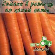 Морковь Харизма F1 семена - среднеспелый гибрид. Moravoseed (Чехия)
