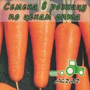 Морковь Купар F1 семена - поздний гибрид. Bejo (Голландия)