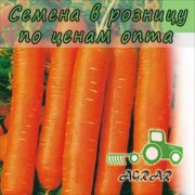 Морковь Мацури F1 семена - ранний гибрид. Kitano Seeds (Япония)