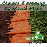 Морковь Монанта семена купить