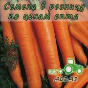 Морковь Наполи F1 семена - ранний гибрид. Bejo (Голландия)