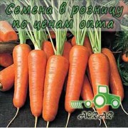 Морковь Нью Курода семена купить