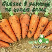 Морковь Шантане Редкор семена купить