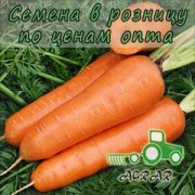 Морковь Шантане Редкор семена - среднеспелый сорт. Griffaton (Франиця)
