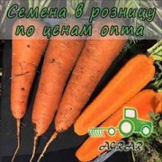 Морковь SV 7381 F1 семена купить