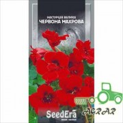 Семена цветов Настурции культурной Черный бархат Seedera