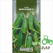 Огурец Балконный F1 – семена Seedera купить