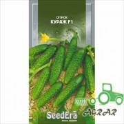 Огурец Кураж F1 – семена Seedera купить
