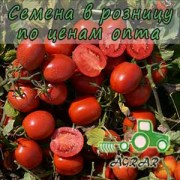 Купить семена томатов 1015 F1 в Украине