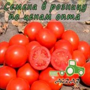 Купить семена томатов 2206 F1 в Украине