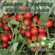 Купить семена томатов 2206 F1