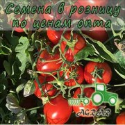 Купить семена томатов  6438 F1 в Украине