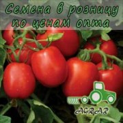 Купить семена томатов 8504 F1 в Украине