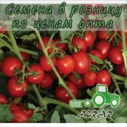 Купить семена томатов 8504 F1