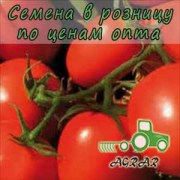 Купить семена томатов 9661 F1 в Украине