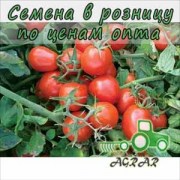 Купить семена томатов 9661 F1