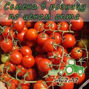 Купить семена томатов Ачико F1