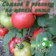 Купить семена томатов Афен F1 в Украине