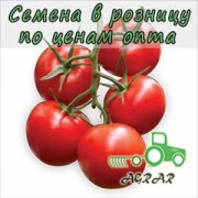 Купить семена томатов Айша F1 в Украине
