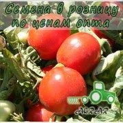 Купить семена томатов Албаросса F1 в Украине