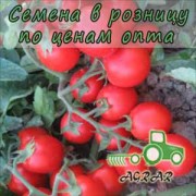 Купить семена томатов Албаросса F1
