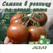 Купить семена томатов Ашдод F1