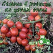 Купить семена томатов Астерикс F1 в Украине