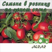 Купить семена томатов Астерикс F1