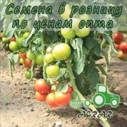 Купить семена томатов Аттия F1 в Украине