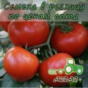 Купить семена томатов Багира F1