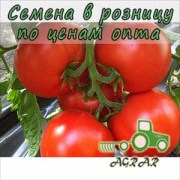 Купить семена томатов Байконур F1 в Украине