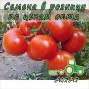 Купить семена томатов Белфаст F1