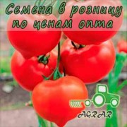 Купить семена томатов Белфорт F1