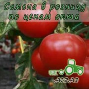 Купить семена томатов Белла Роса F1