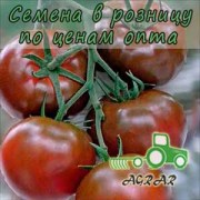 Купить семена томатов Биг Сашер F1 в Украине