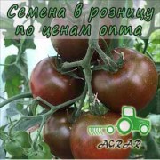 Купить семена томатов Биг Сашер F1