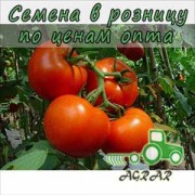 Купить семена томатов Бобкат F1