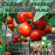 Купить семена томатов Бостина F1 в Украине
