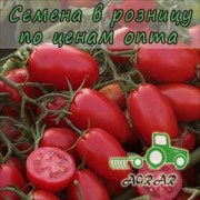 Купить семена томатов Бриксолино F1