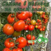 Купить семена томатов Буллз F1 в Украине