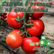 Купить семена томатов Буллз F1