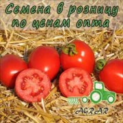 Купить семена томатов Чезена F1