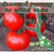 Купить семена томатов Чимган F1