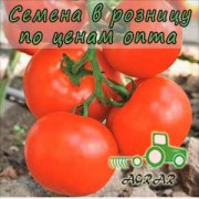 Купить семена томатов Чинто F1