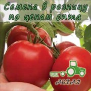 Купить семена томатов Дантина F1