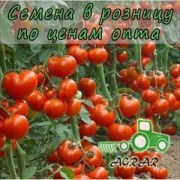 Купить семена томатов Дебют F1 в Украине
