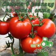Купить семена томатов Девонет F1